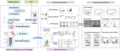 Mechanisms of action of Sappan lignum for prostate cancer treatment: network pharmacology, molecular docking and experimental validation